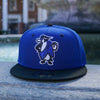 Rome Emperors Blue and Black 59FIFTY Fitted